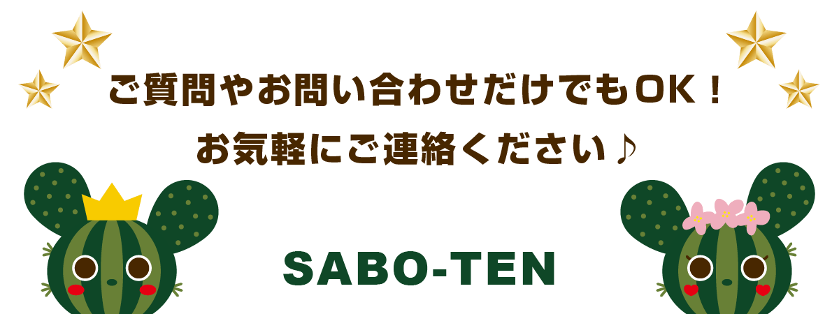 お気軽にお問い合わせください！