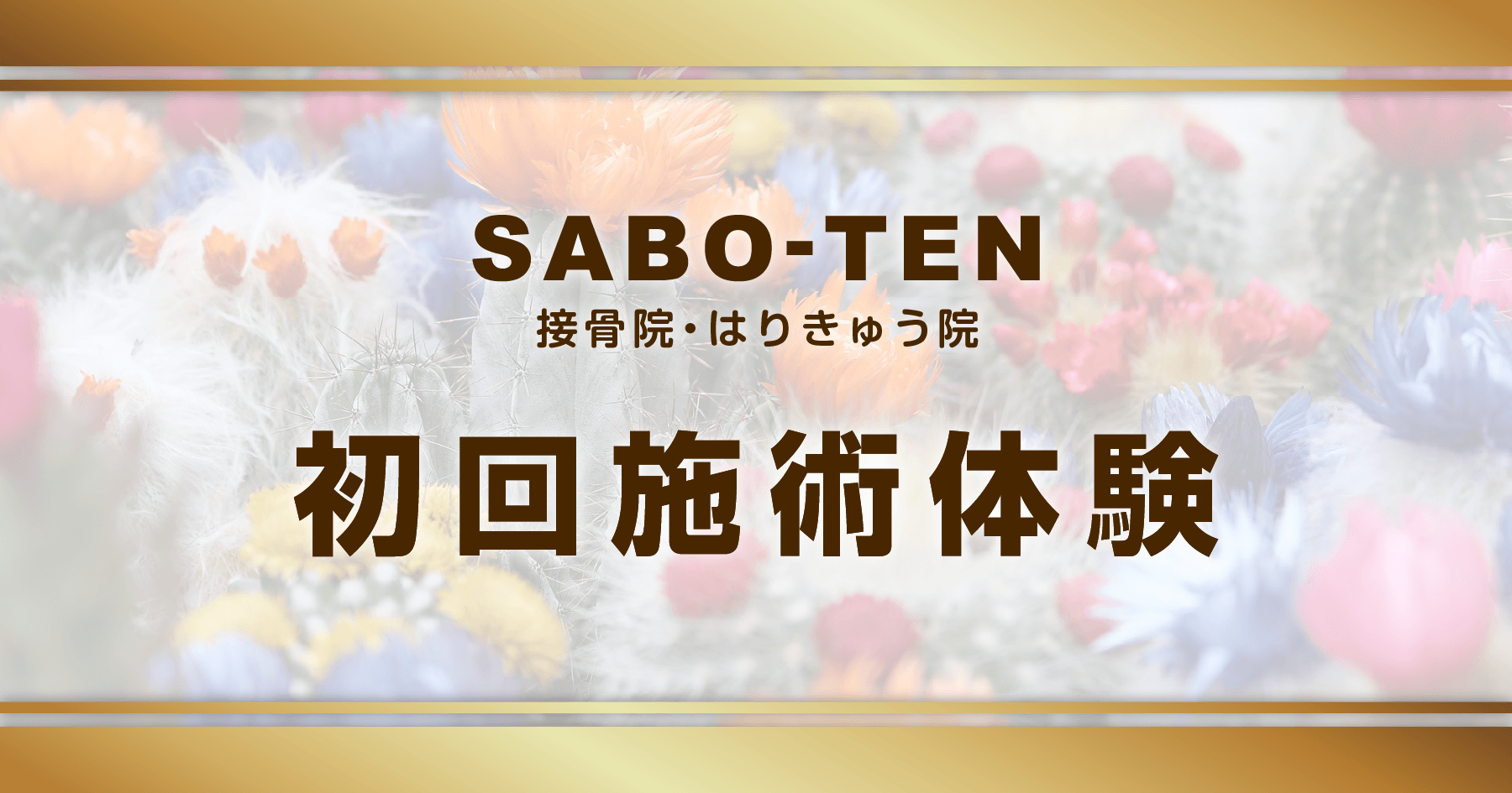 さぼてん接骨院はりきゅう院の初回施術体験